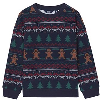 Boys 2-20 Lands' End Graphic Crewneck Sweatshirt in Regular & Husky