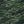 Geo Camo Green Lime