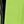 Key Lime And Seal Grey