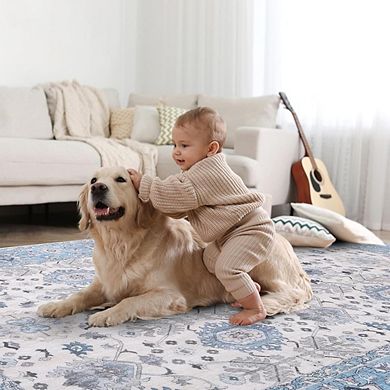 Area Rug Soft, Washable, Non-Slip Entrance Rug