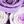 Lavender Purple
