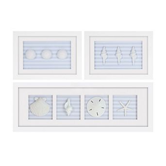 Set of 3 Framed Coastal Wall Art Sand Dollar Shell and Starfish Sculpted Plaques Nautical Wall Decor
