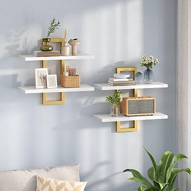 Double Layer Floating Wall Shelf Wall Mounted 2 Tier Storage for Bedroom Living Room Set of 2