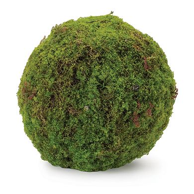 Set of 2 Moss Orb Decorative Accents for Coffee Table Tray Entryway and Home Display