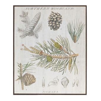 Pine Botanical Wall Art Framed Encyclopedia Print Vertical Wall Decor for Home Decor or Mantel