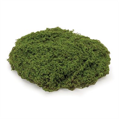 Set of 3 Faux Moss Pad Decor Pieces for Terrarium Lantern Tabletop and Shelf Styling