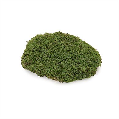 Set of 3 Faux Moss Pad Decor Pieces for Terrarium Lantern Tabletop and Shelf Styling
