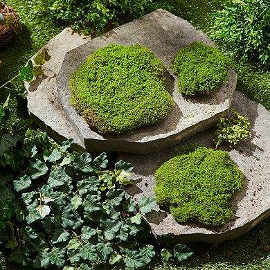Set of 3 Faux Moss Pad Decor Pieces for Terrarium Lantern Tabletop and Shelf Styling