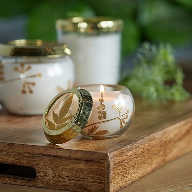 Set of 3 Scented Glass Candles for Tabletop Decor and Indoor Shelf Styling