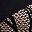 Light Beige Black Lace