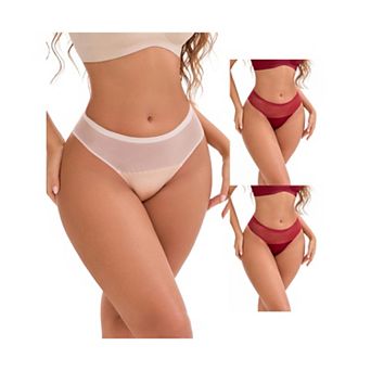 3 Packs Women's Lace Mesh See Through Mid Rise Briefs Breathable Lightweight Seamless Underwear