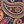 Multicolor Paisley