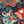 Paisley