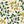 Yellow Green Floral
