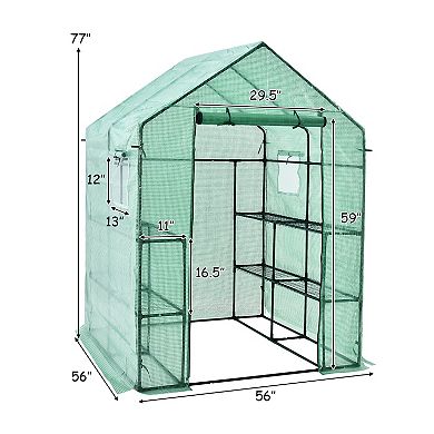 56 x 56 x 77-Inch Walk-In Greenhouse with Observation Windows