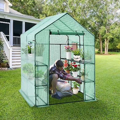 56 x 56 x 77-Inch Walk-In Greenhouse with Observation Windows
