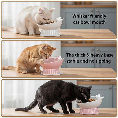 Ceramic Raised Cat Bowl Tilted Anti Vomit Whisker Friendly Microwave Dishwasher Safe