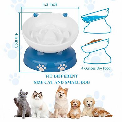 Ceramic Slow Feeder Cat Bowl Elevated Tilted Raised Flower Column Dry Wet Food Stable High-Quality