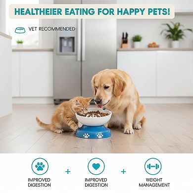 Ceramic Slow Feeder Cat Bowl Elevated Tilted Raised Flower Column Dry Wet Food Stable High-Quality