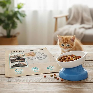 Ceramic Slow Feeder Cat Bowl Elevated Tilted Raised Flower Column Dry Wet Food Stable High-Quality