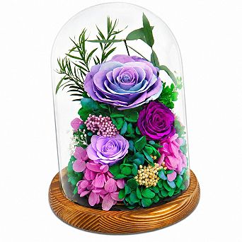Forever Preserved Roses Glass Dome w/ LED Light Long Lasting Gift for Women Valentines Mothers Day