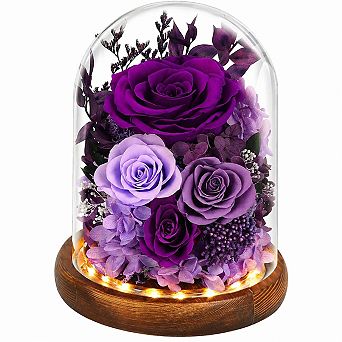 Forever Preserved Real Flowers Glass Dome LED Lights Mothers Day Gifts Eternal Fresh Roses
