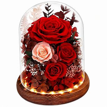 Forever Preserved Real Flowers Glass Dome LED Lights Mothers Day Gifts Eternal Fresh Roses
