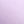 Black Light Purple