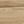 Golden Sandalwood