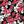 Black Pink Floral