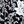 Black White Floral