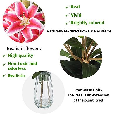 6 Real Touch Lilies for Wedding & Home