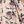 Apricot Pink Floral