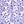 Purple White Flowers