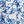 White Blue Flower
