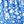 Blue White Flowers