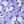 Purple White Flower