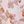 Light Pink Floral