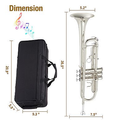 Bb Trumpet for Beginners, B-Flat Gold Nickel Plated Brass Trumpet with Hard Case