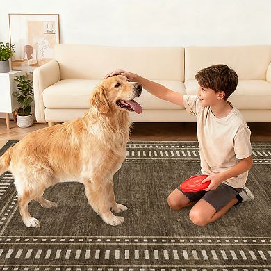 Bordered Machine Washable Rug with Non-Slip Backing for Living Room, Dining Room