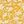 Yellow Floral