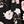 Black Flowers