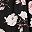 Black Flowers