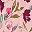 Pink Flower