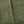 Fabric Green