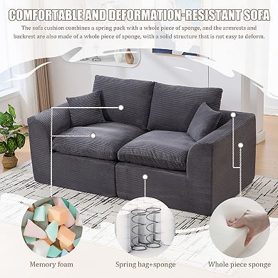 Trikiousd Modern Loveseat Cloud Sofa Couch Modular 2-Seater with Removable Covers No Assembly