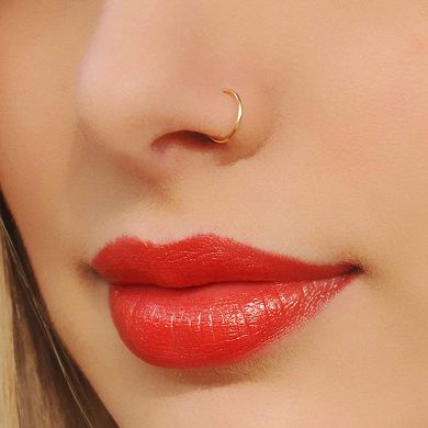 Fake Nose and Septum Ring Set
