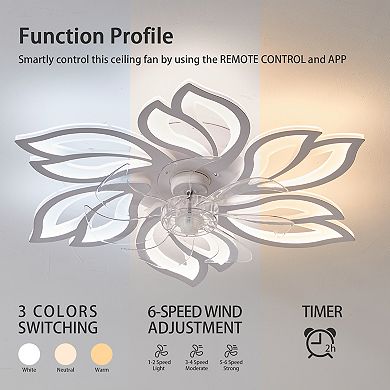 ELEMENT ACE 25.5 Inch Ceiling Fan with Lights Remote Control 3 Color Temperatures