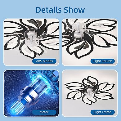 ELEMENT ACE 25.5 Inch Ceiling Fan with Lights Remote Control 3 Color Temperatures