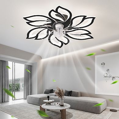 ELEMENT ACE 25.5 Inch Ceiling Fan with Lights Remote Control 3 Color Temperatures